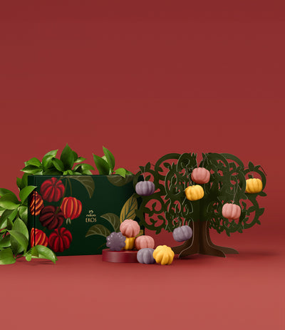Pitanga Holiday BYO Soap Tree Set_mobile