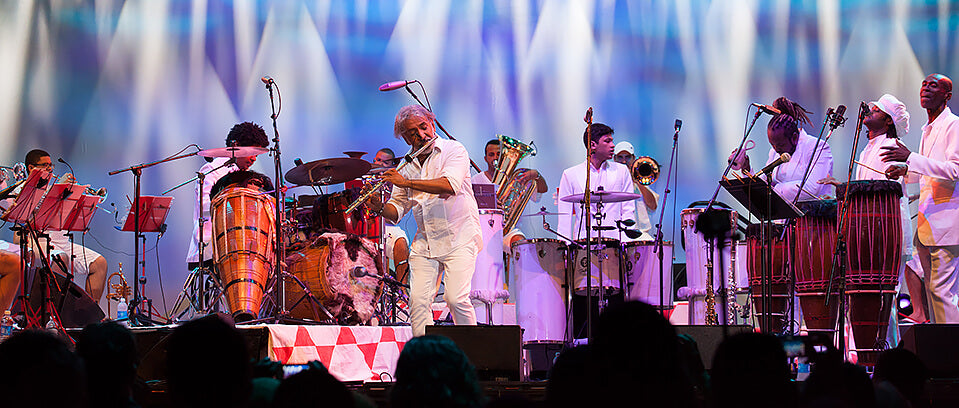 Brasil Summerfest Musicians