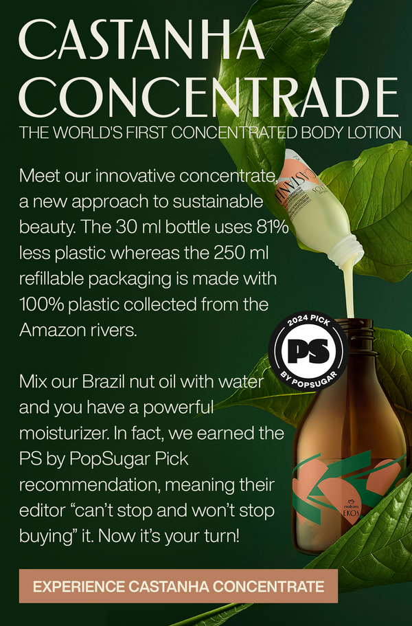 Castanha Concentrate