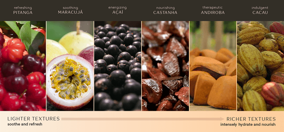 How to Choose your Ingredients Guide